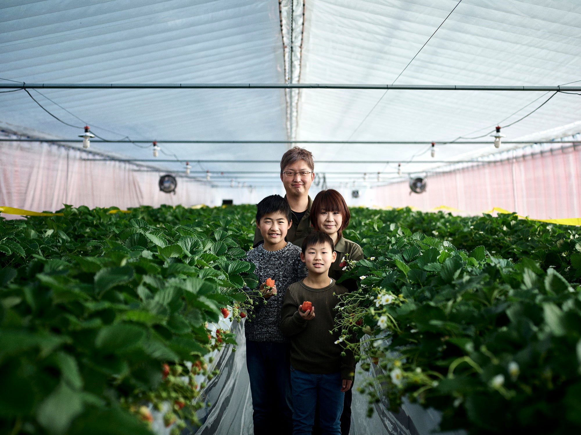 斎藤農園｜福島県伊達市霊山【公式通販サイト】 – 斎藤農園公式